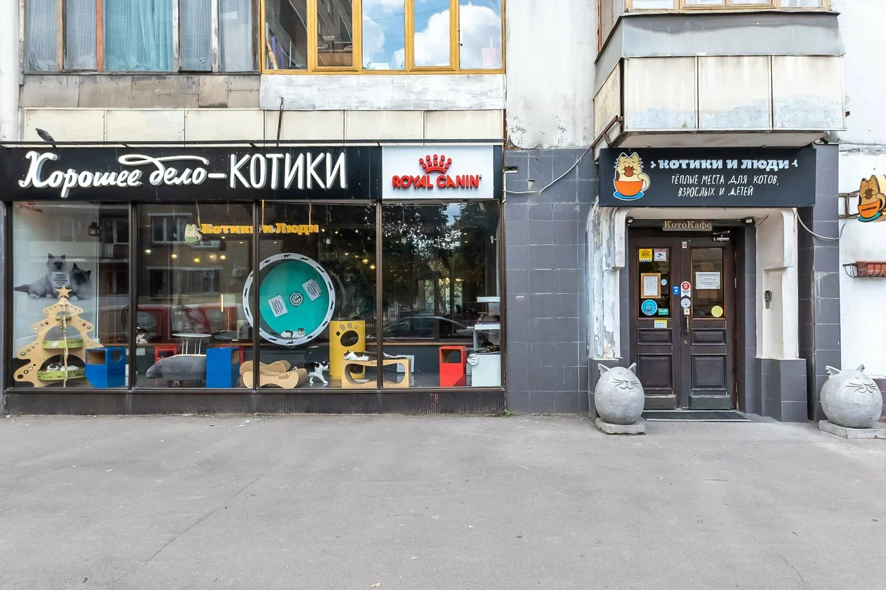 Фото Котокафе "Котики и люди" - развлечение в Москве | Досугатор